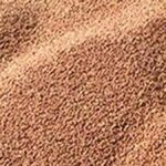 Duty-free import policy has hit red gram farmers in State, says Minister