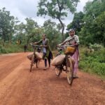 The Naxals are receding. Now what?