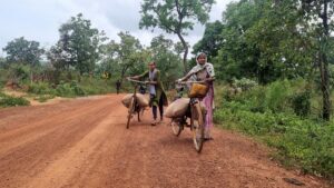 The Naxals are receding. Now what?